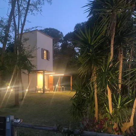Torretta San Cerbone Baratti